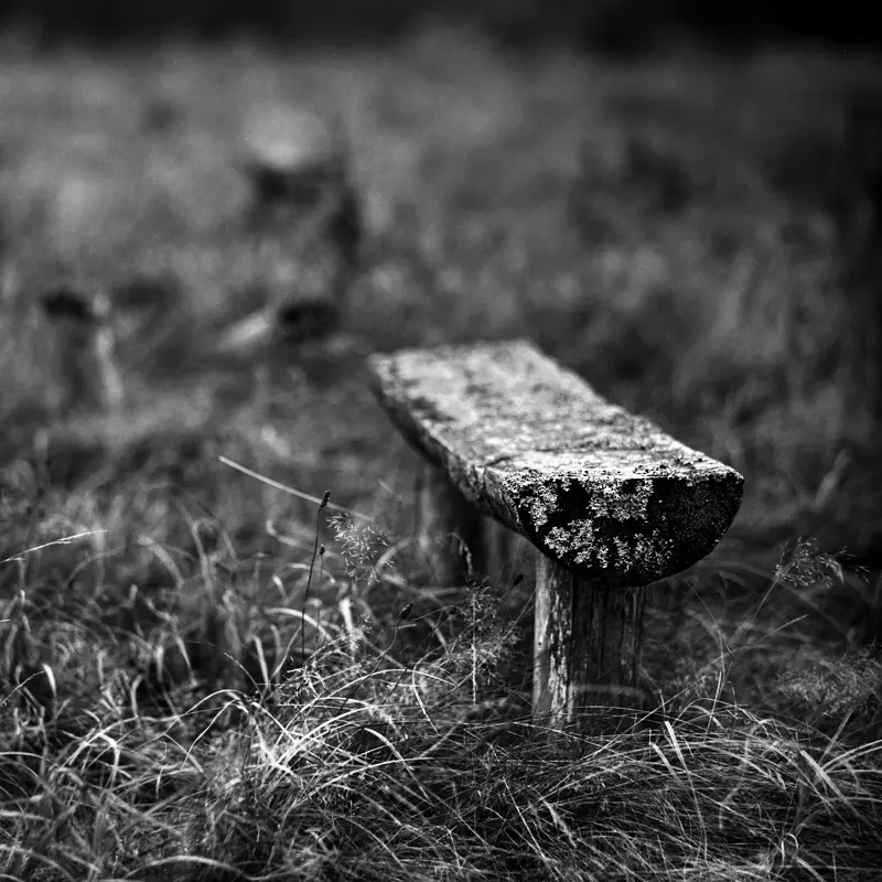fotografia analogowa a na niej stara drewniana ławka w zarośniętym boisku futbolowym