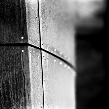 Pentacon Six TL Kaleinar 150mm f/2.8 Ilford 125