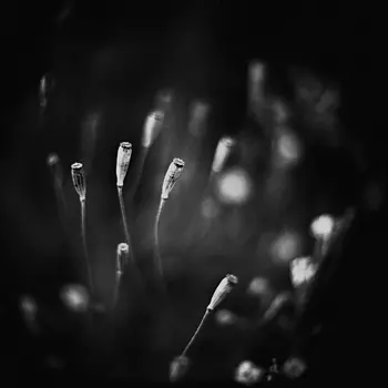 Pentacon Six TL Lens medium format Prototype 90mm f/1,4 Tokturnus Rollei RPX 25