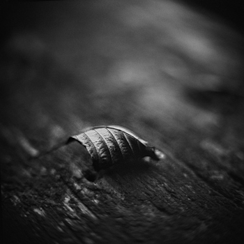 Pentacon six TL lens prototype Tokturnus 90 mm f/1,4 Ilford 125