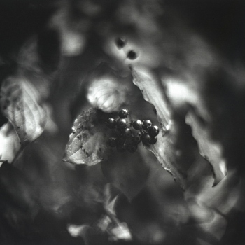 Pentacon Six TL Lens medium format Prototype 90mm f/1,4