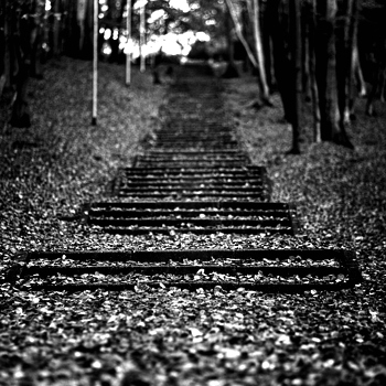 Pentacon Six TL medium format Kaleinar 150mm f/2,8