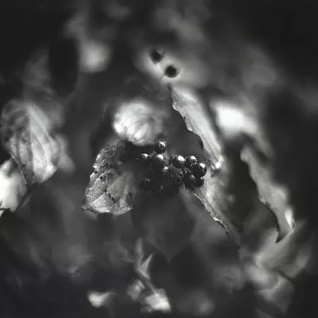 PENTACON six TL