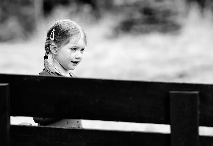 Śliczna dziewczynka z krótkimi warkoczykami fotografowana przez wysoką ławkę z drewna